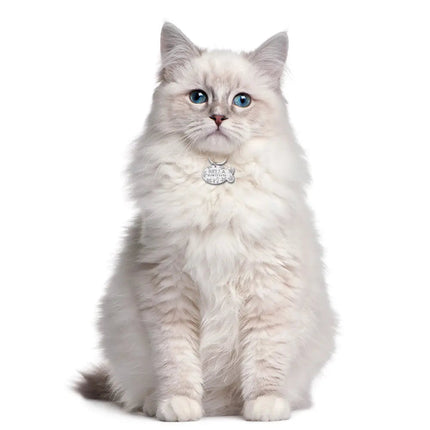 Pendentif Rond Gravé pour Chat avec Attache Ajustable