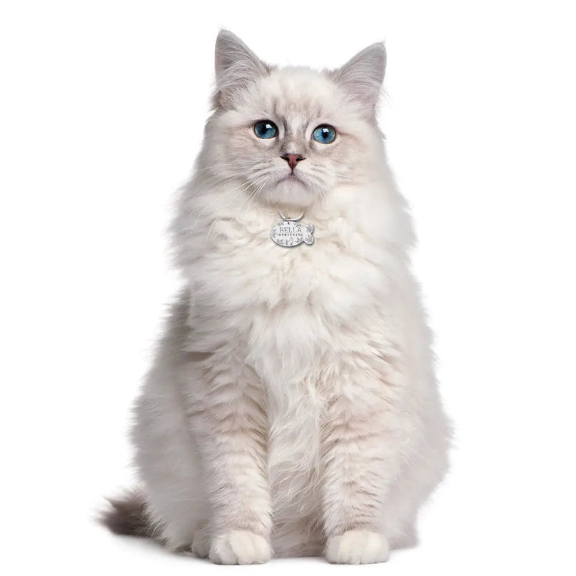 Pendentif Rond Gravé pour Chat avec Attache Ajustable