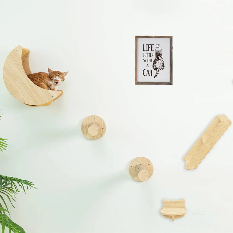 Niche murale suspendue pour chat â Design moderne et pratique