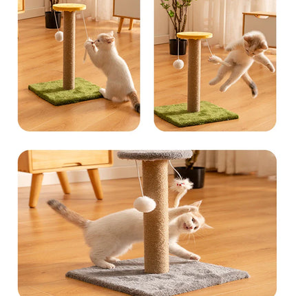 Arbre à Chat Compact Ludique avec Base en Forme de Patte
