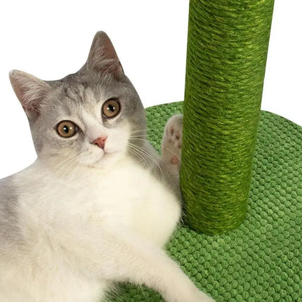 Griffoir Cactus Ludique pour Chat avec Décorations