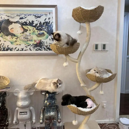 Arbre à Chat avec Paniers en Spirale pour un Coin de Jeu Naturel