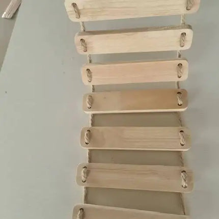 Installation Murale Innovante pour Chats – Parc Aérien Suspendu