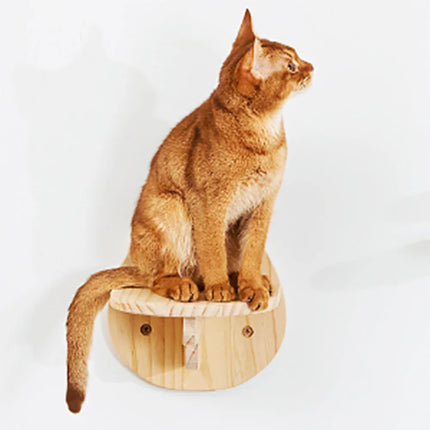 Niche murale suspendue pour chat – Design moderne et pratique