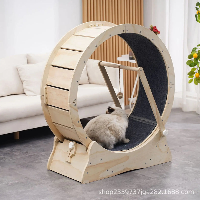 Roue d’Exercice pour Chat avec Tapis Antidérapant et Jouet Suspendu