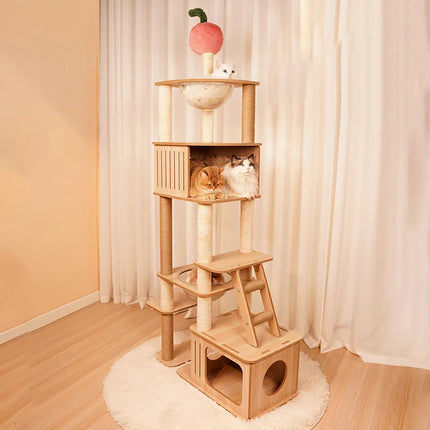Arbre à Chat Ludique XXL avec Bulles Transparentes et Maisonnete