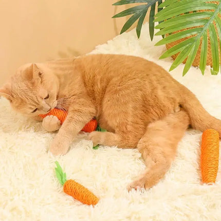 Carottes Ludiques en Corde pour Chat – Jouet Mignon et Interactif