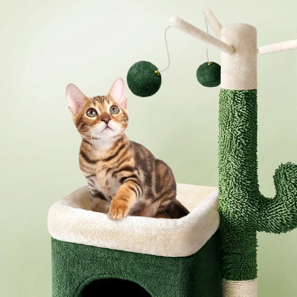 Cabane avec Griffoir et Aire de Jeu Cactus pour Chat