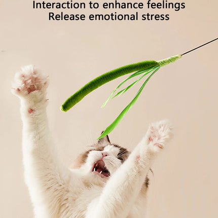 Ensemble de Jouets Interactifs Pivotants pour Chats