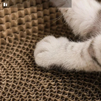 Panier Ovale en Carton Durable - Espace Spacieux pour Chats