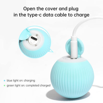 Balle Interactive LED Turquoise pour Animaux Actifs