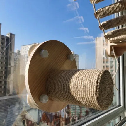 Installation Murale Innovante pour Chats – Parc Aérien Suspendu