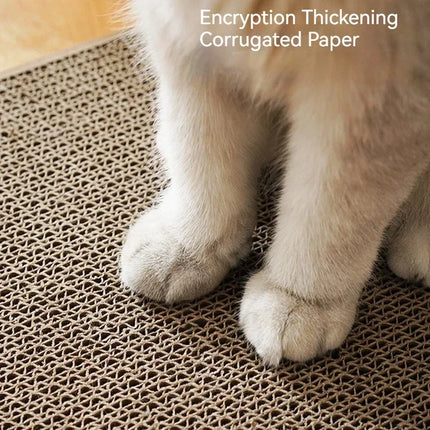 Jouet interactif pour chat avec balle sonore