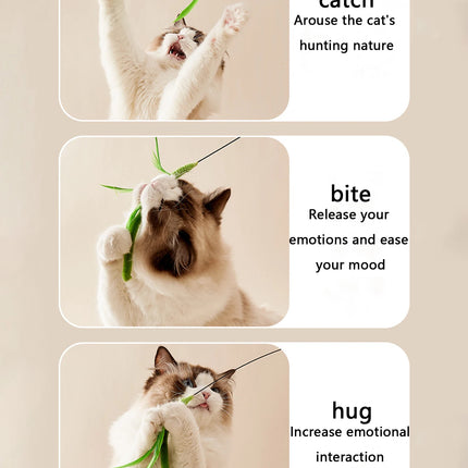 Ensemble de Jouets Interactifs Pivotants pour Chats