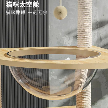 Arbre pour Chats à Multi-Plateformes et Marches en Spirale