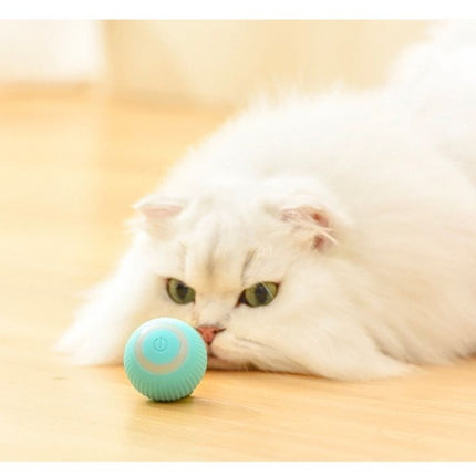 Balle Interactive LED Turquoise pour Animaux Actifs