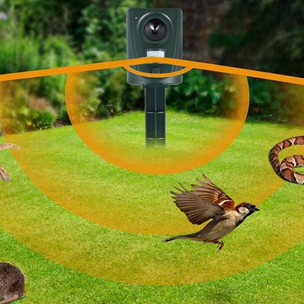 Dispositif Répulsif Ultrason pour Animaux Extérieur – Capteur PIR