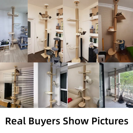 Colonne d'Activités Griffoir pour Chats avec Plateformes et Dôme Transparent