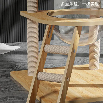 Arbre pour Chats à Multi-Plateformes et Marches en Spirale