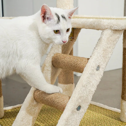 Arbre à Chat Compact avec Plateformes et Échelle