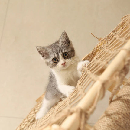 Aire de Jeu Originale en Forme de Tente pour Chatons