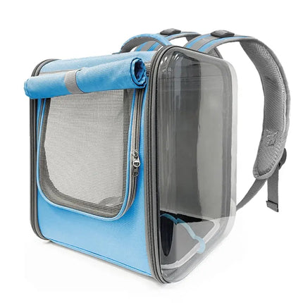 Transporteur rectangulaire pratique à parois rigides pour animaux