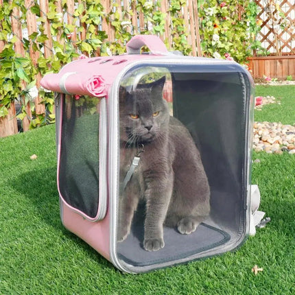 Transporteur rectangulaire pratique à parois rigides pour animaux