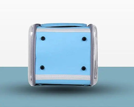 Transporteur rectangulaire pratique à parois rigides pour animaux