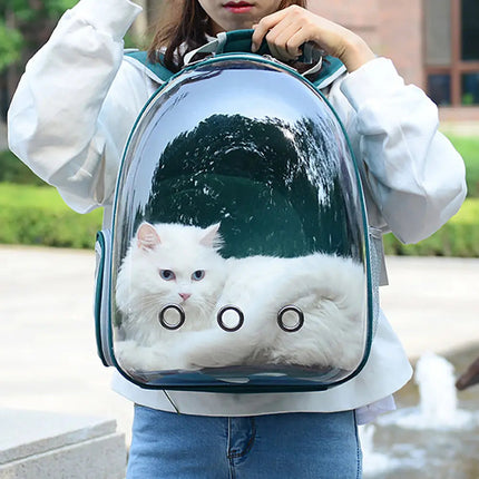 Sac À Dos Avec Fenêtre Respirante Pour Transport De Chat – Idéal Pour Les Sorties En Plein Air