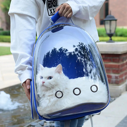 Sac À Dos Avec Fenêtre Respirante Pour Transport De Chat – Idéal Pour Les Sorties En Plein Air