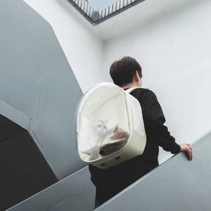 Sac à dos pliable pour chat avec fenêtre transparente