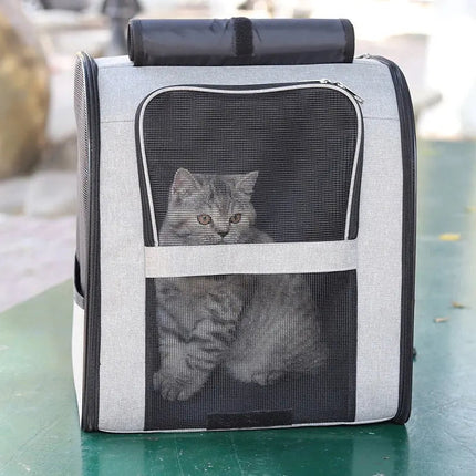 Transporteur Rectangulaire Moderne pour Chat avec Aération Optimale