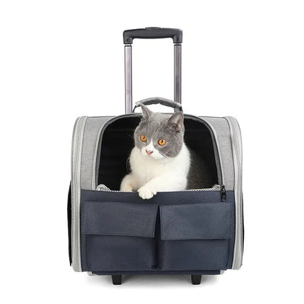 Sac de transport pliable pour chat avec poignée télescopique et compartiments pratiques