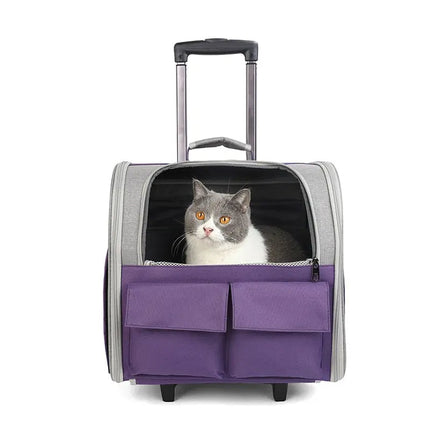 Sac de transport pliable pour chat avec poignée télescopique et compartiments pratiques