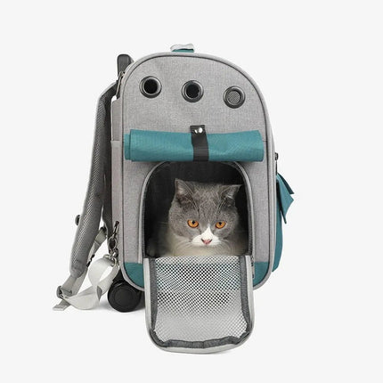 Sac de transport pliable pour chat avec poignée télescopique et compartiments pratiques
