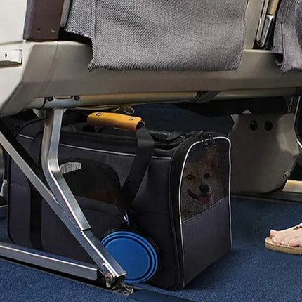 Sac pliable et portable pour transporter les chats en toute sécurité