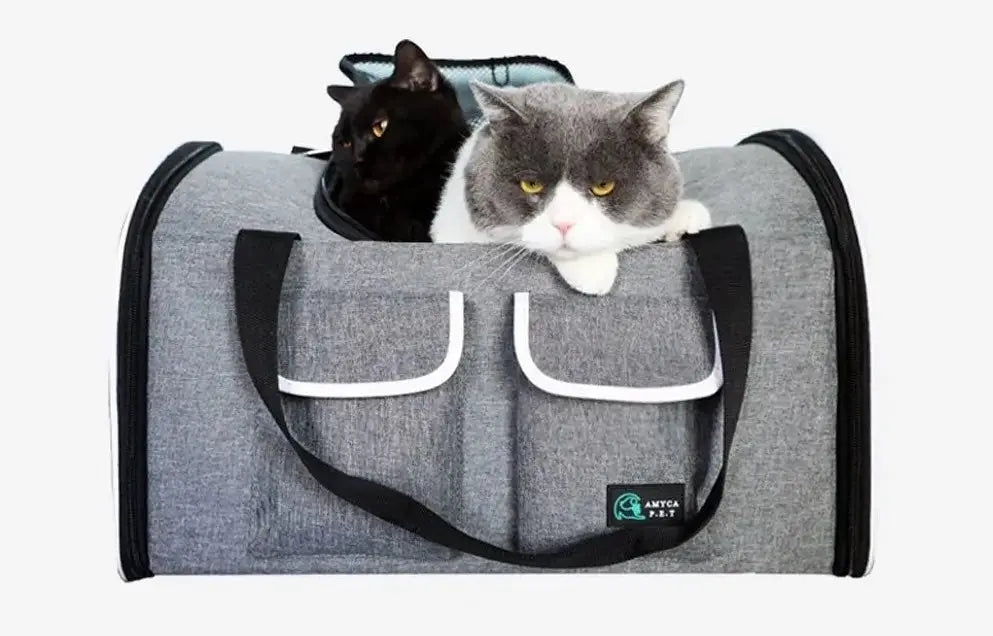 Sac de voyage pour chat avec ventilation et poches zippées