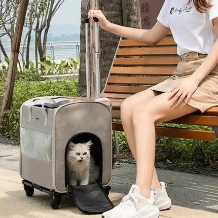 Sac Portable Télescopique à Roulettes pour Chat – Pratique et Ventilé