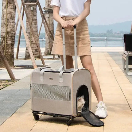 Sac Portable Télescopique à Roulettes pour Chat – Pratique et Ventilé