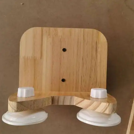 Installation Murale Innovante pour Chats – Parc Aérien Suspendu