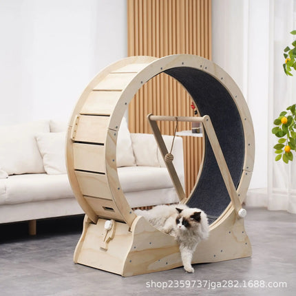Roue d’Exercice pour Chat avec Tapis Antidérapant et Jouet Suspendu