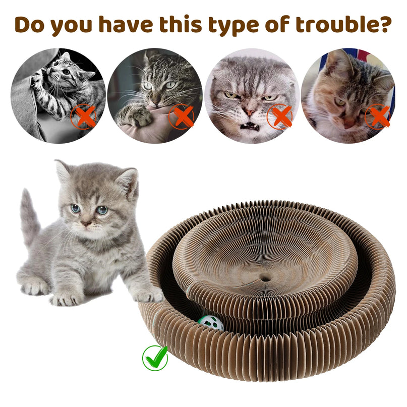 Griffoir Rond Interactif avec Balle Intégrée pour Chat