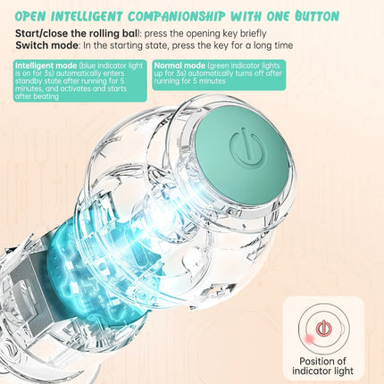 Balle Interactive LED Turquoise pour Animaux Actifs