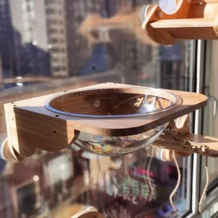 Installation Murale Innovante pour Chats – Parc Aérien Suspendu