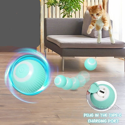 Balle Interactive LED Turquoise pour Animaux Actifs