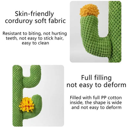 Griffoir Cactus Ludique pour Chat avec Décorations
