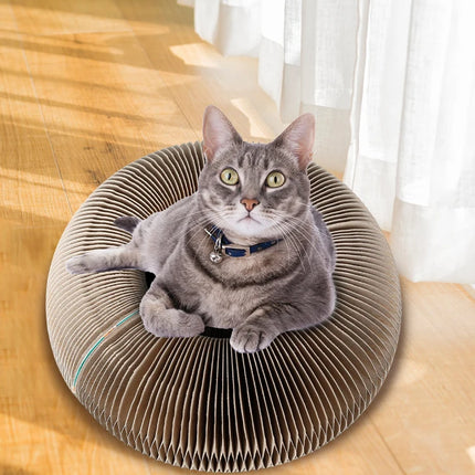 Griffoir Rond Interactif avec Balle Intégrée pour Chat