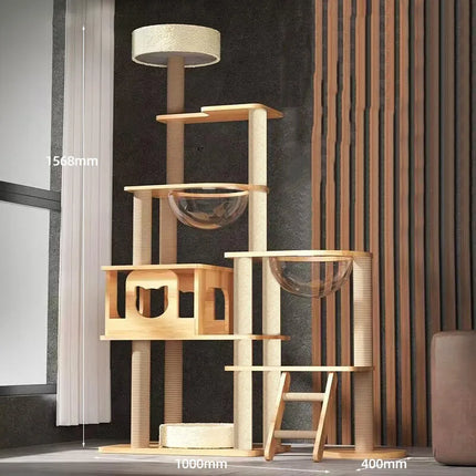 Arbre à Chat Minimaliste | Design Moderne à Niveaux