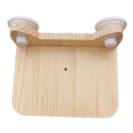 Installation Murale Innovante pour Chats – Parc Aérien Suspendu