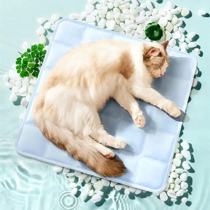 Tapis Estival Bleu pour Chat avec Détails Ludiques